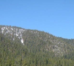 Mountain Forest 2