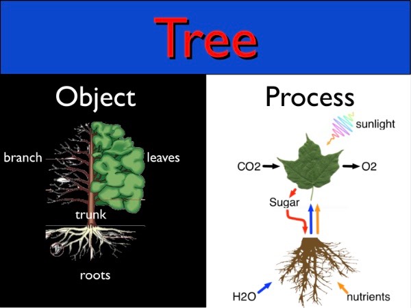 TreeObjectVersusProcess