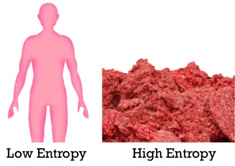 HumanEntropy
