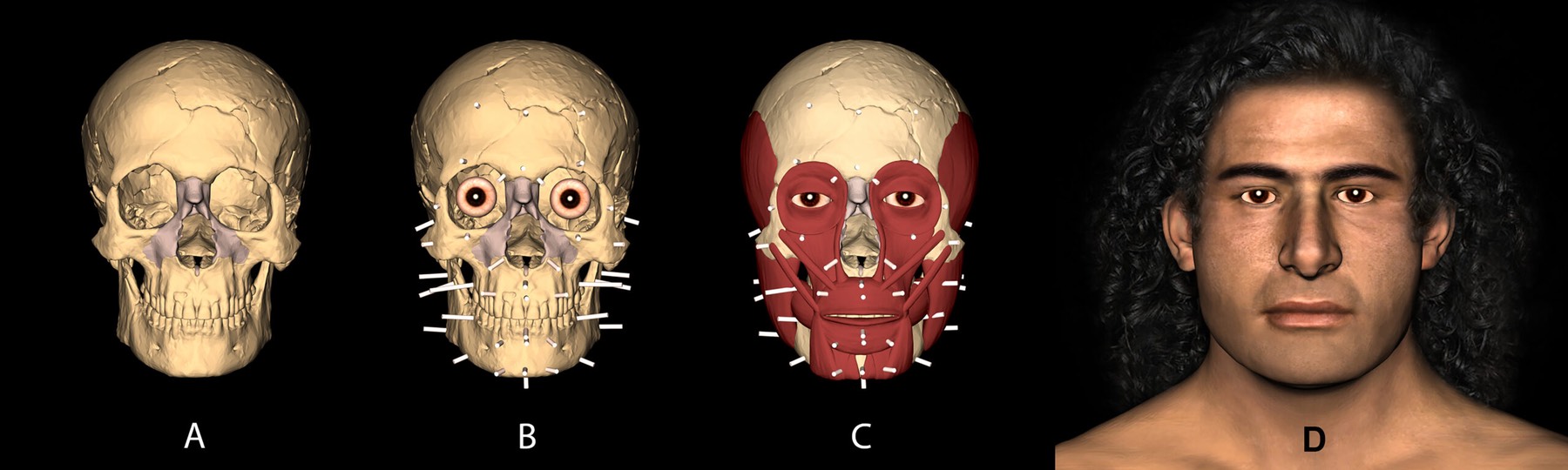 ReconstructedFace